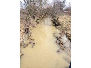 84+/- Acres Nearly level to gently rolling farmland.

Seller requires a 3 - 5 year leaseback, call for details. - 33+/- Acres in Henry County, IN & 51+/- Acres in Madison County, IN